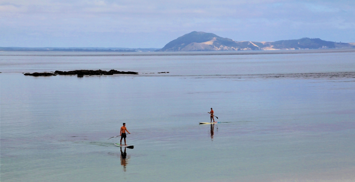 calm paddle calm paddle