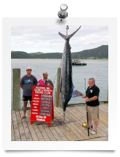 marlin houhora