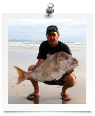 darin12.03kg