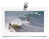 surfersaplenty