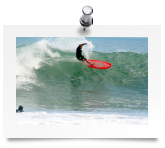 surfertopwavered