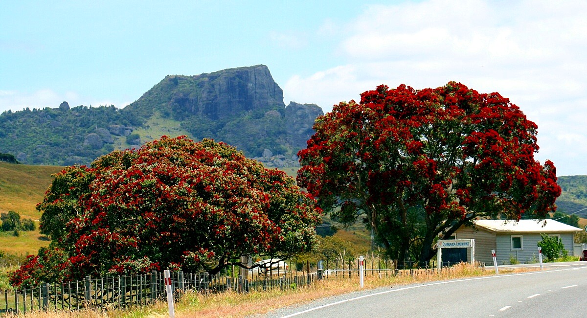 otangaroa otangaroa